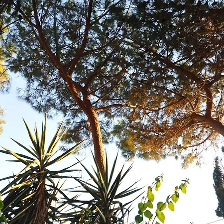 Le Mannare Vacanze Di Metopa Srl