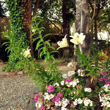 Le Mannare Vacanze Di Metopa Srl Holiday home Piano Conte