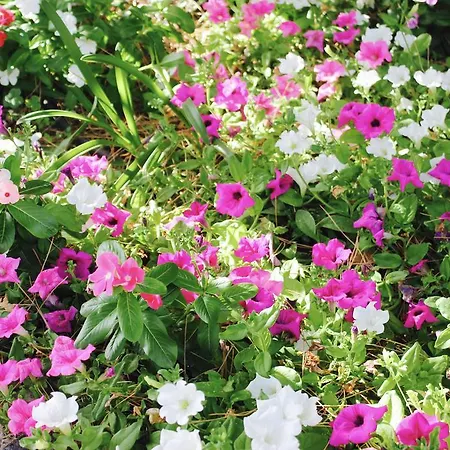 Casa vacanze Le Mannare Vacanze Di Metopa Srl