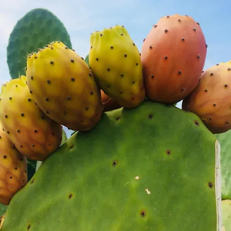 Le Mannare Vacanze Di Metopa Srl Casa vacanze *