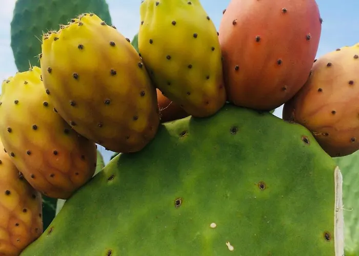 Le Mannare Vacanze Di Metopa Srl Casa de Férias *