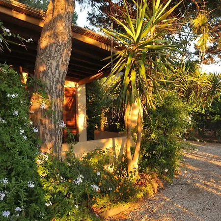 Le Mannare Vacanze Di Metopa Srl * Piano Conte