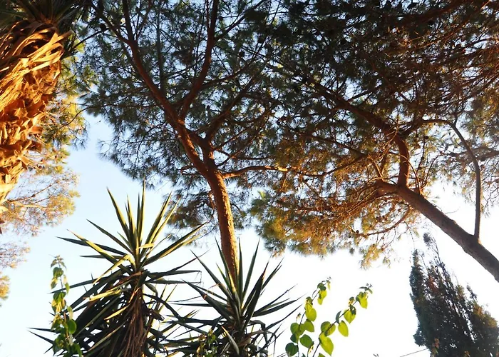 Le Mannare Vacanze Di Metopa Srl