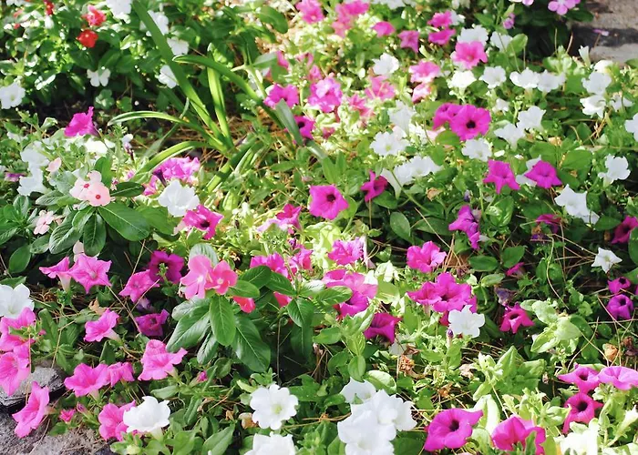 Holiday home Le Mannare Vacanze Di Metopa Srl